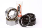 Pivot Works Front Wheel Bearing Kit Honda Atv. Fixed Price $99.99.
