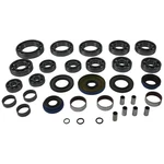 Balls 25-2126 Trans Axle Seal Kit. Fixed Price $285.29.