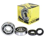 Pro-x Crankshaft Bearing And Seal Kit 23.CBS20018 19-20018 116517. Fixed Price $63.99.