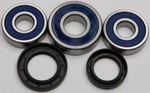 Balls Wheel Bearing And Seal Kit Rear 25-1355. Fixed Price $52.04.