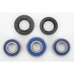 Moose Rear Wheel Bearing Kit A25-1066. Fixed Price $32.27.