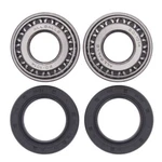 Balls Front Wheel Bearing Kit For 2009 Gas-gas Halley 450 Eh. Fixed Price $33.84.