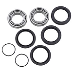 Balls Wheel Bearing And Seal Kit 25-1498. Fixed Price $64.32.