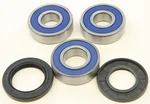 Balls Wheel Bearing And Seal Kits Rear 25-1281. Fixed Price $45.08.