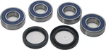 New Balls Wheel Bearing & Seal Kit- 25-1672- Kawasaki/bmw. Fixed Price $50.19.