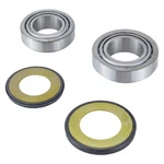 Balls 22-1004 Steering Stem Bearing Seal Kit For Suzuki GV1200 Madura 85-86. Fixed Price $47.85.