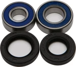 Balls Wheel Bearing & Seal Kit 25-1023. Fixed Price $33.99.