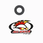Balls Racing Double Lip Seal 22 X 30-4001. Fixed Price $18.99.
