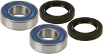 New Balls Front Wheel Bearing Kit 25-1510 Fast Shipping. Fixed Price $41.47.