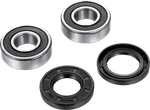 Factory Links Front Wheel Bearing Kit For Bmw F800 And R1200GS 2006-2016. Fixed Price $49.94.
