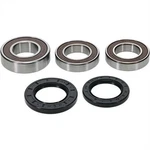 Pivot Works Complete Wheel Bearing Rebuild Kits 25-1039-P. Fixed Price $53.42.