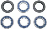 Moose Racing Wheel Bearing Kit For 2000-2002 Arctic Cat 500 4X4 Atv Rear. Fixed Price $62.04.