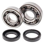 Balls 24-1043 Crank Shaft Bearing Kit For Yamaha YFS200 Blaster 1988-2006. Fixed Price $103.71.