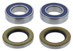 New Balls Wheel Bearing & Seal Kit- 25-1750- BMW/F900XR. Fixed Price $31.83.