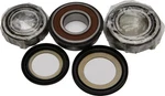 Balls Steering Head Stem Bearings Kit For Triumph Daytona T595 97-98. Fixed Price $56.95.