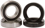 Pivot Works PWRWS-H46-000 Wheel Bearing Kit. Fixed Price $39.95.