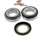 MT-09 MT09 2021-2022 Yamaha Balls Steering Stem Bearing & Seal Kit. Fixed Price $71.75.