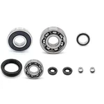 Engine Cases Bearings And Seals For Ktm Adventure Duke Rc. Fixed Price $45.96.