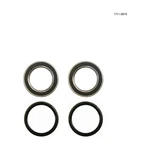 Factory Spec Rear Axle Wheel Bearing Kit 1711-0019. Fixed Price $36.17.
