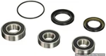 Pivot Works Rear Wheel Bearings 2008-2010 Kawasaki Ninja ZX10R Free Shipping. Fixed Price $77.20.