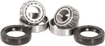 Pivot Works Rear Wheel Bearing Seal Kit For 1995-1999 Harley Fl PWRWS-HD01-000. Fixed Price $27.67.