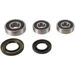 Pivot Works Wheel Bearing Kit For Yamaha Xjr Sp 1300 (euro) 99 01. Fixed Price $42.87.