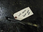 2003 Yamaha TTR125 Front Wheel Bolt 3UN-25181-00-00. Fixed Price $14.99.