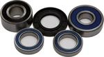 Balls 25-1383 Wheel Bearing And Seal Kit. Fixed Price $52.09.