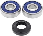 Balls Wheel Bearing Kit Rear 22-51306 AB25-1306 AB251306 ABR25-1306. Fixed Price $21.45.