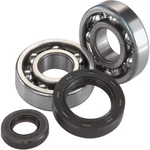 Balls 24-1032 Crank Bearing And Seal Kit. Fixed Price $66.39.
