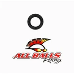 Balls Double Lip Seal 30-3206. Fixed Price $11.40.