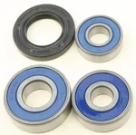 Balls Wheel Bearing & Seal Rear 2009-2012 Suzuki TU250X. Fixed Price $29.00.