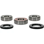 Pivot Works Premium Wheel Bearing Kit 22-51256P 145021 PIV25-1256-P. Fixed Price $28.41.