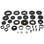 Balls 25-2126 Trans Axle Bearing & Seal Kit. Fixed Price $285.29.