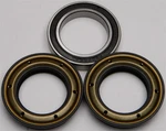 New Balls 25-1365 Wheel Bearing And Seal Kit Free Ship. Fixed Price $53.18.