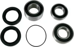 Pivot Works Wheel Bearing & Seal Kit Rear For Honda RC51/CBR929RR/CBR954RR. Fixed Price $63.66.