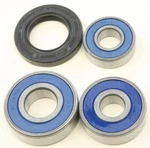 Balls Wheel Bearing And Seal Kit Rear 25-1607. Fixed Price $29.00.