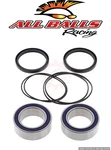Rear Wheel Bearings 400EX 450R 300EX 250R Aftermarket Carrier Balls 25-1401. Fixed Price $75.08.