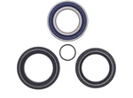 Balls Racing 25-1572 Wheel Bearing Seal Kit Compatible With/replacement Atv. Fixed Price $17.48.