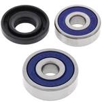 Balls Wheel Bearing Kit Front 25-1166 Kawasaki KLX125 03-06, KX80 84-85 New. Fixed Price $34.79.