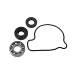 Tusk TSK0006 Water Pump Repair Kit. Fixed Price $24.60.