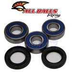 Balls Rear Wheel Bearing And Seal Kit For 2001-2007 Honda VT750DC Ch. Fixed Price $49.20.