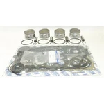 Wsm Top End Rebuild Kit Standard Ultra 250X Bore Platinum 010-846-10P. Fixed Price $689.80.