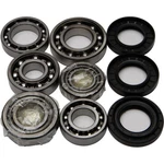 Balls Rear Differential Bearing And Seal Kit 25-2074. Fixed Price $168.83.