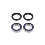 Balls Rear Wheel Bearing Kit 25-1329. Fixed Price $43.22.