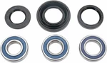 Moose Racing Wheel Bearing Kit 1995-2003 Honda TRX400FW Foreman 4X4 Atv Rear. Fixed Price $70.65.
