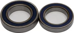Balls Wheel Bearing & Seal Kit 25-1146. Fixed Price $37.34.