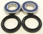 Balls Wheel Bearing & Seal Kit 25-1693. Fixed Price $66.93.