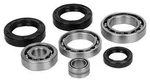 Balls Differential Seal Only Kit 22-520875 136810 ABR25-2087-5. Fixed Price $44.86.