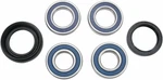 Moose Racing Wheel Bearing Kit For 1986-1987 Honda ATC250SX Atv Rear. Fixed Price $85.80.